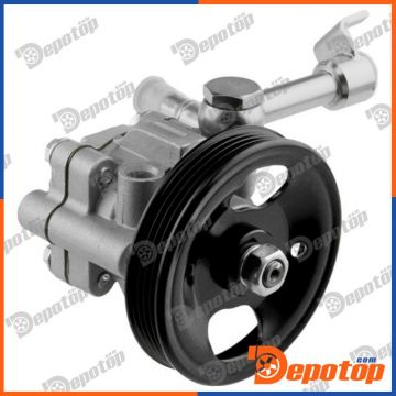 Pompe de direction assistée pour NISSAN | SPW-NS-006, 15-1461